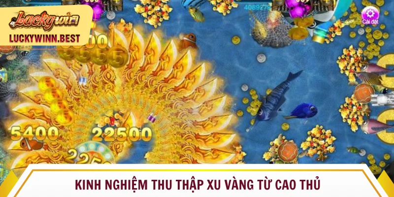 Kinh nghiệm thu thập xu vàng hiệu quả nhất