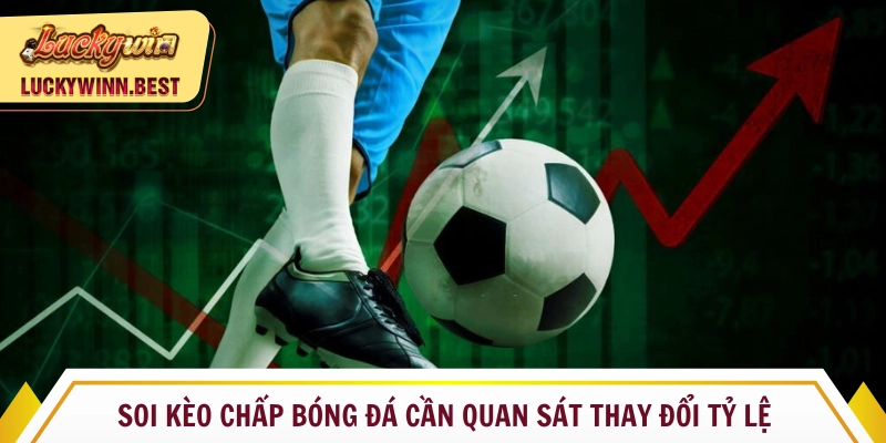 Soi kèo chấp bóng đá cần quan sát thay đổi tỷ lệ trên bảng