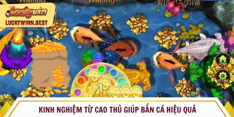 Tích luỹ phương thức săn kim cương đỉnh cao